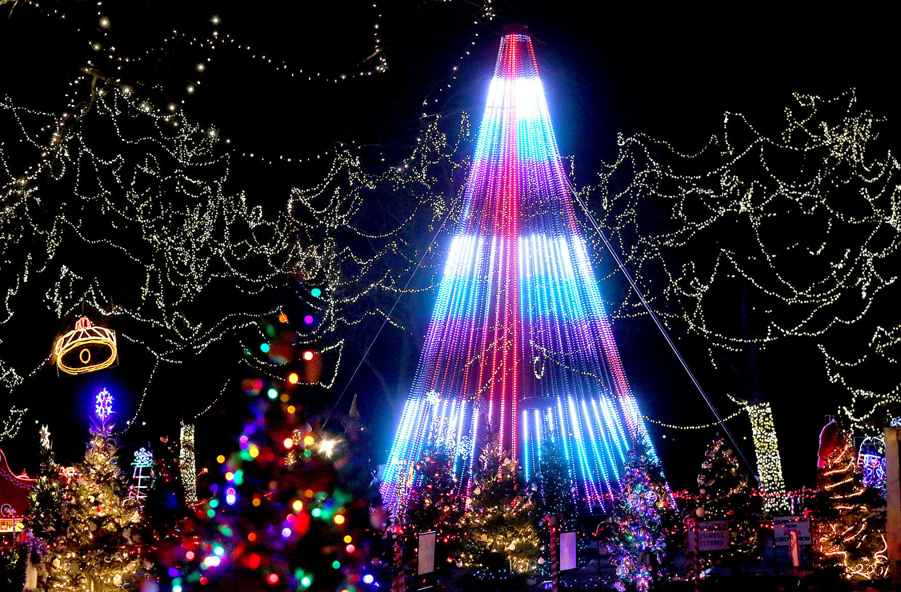 Rotary Lights 2020